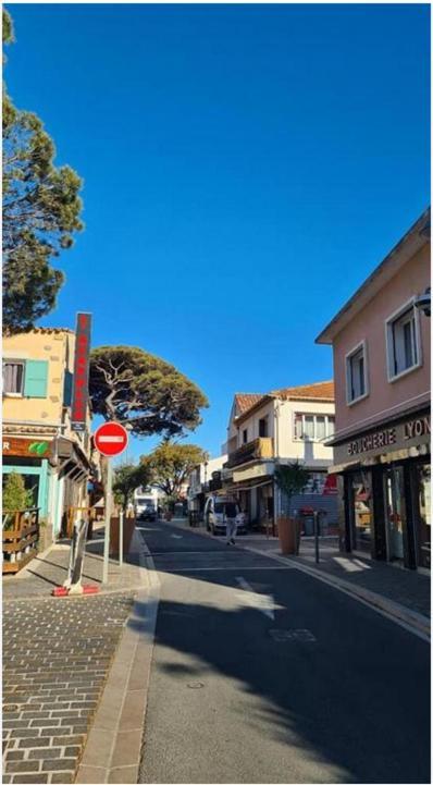 Maisonnette Climatisee A 35M De La Plage De La Capte Hyeres Villa Екстериор снимка
